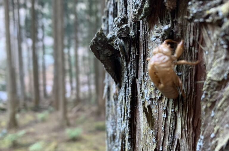 9F4242D2-331B-45BC-8A20-94888DFF6389