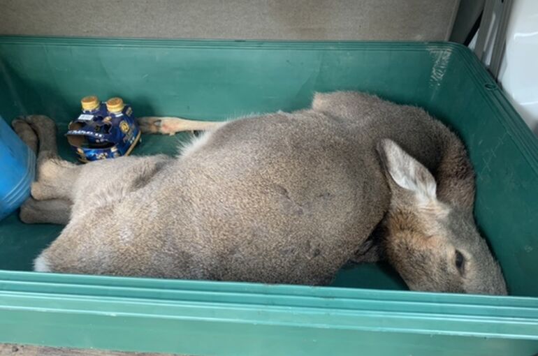 2D213E36-583D-4258-8589-7ECF1C7513E1