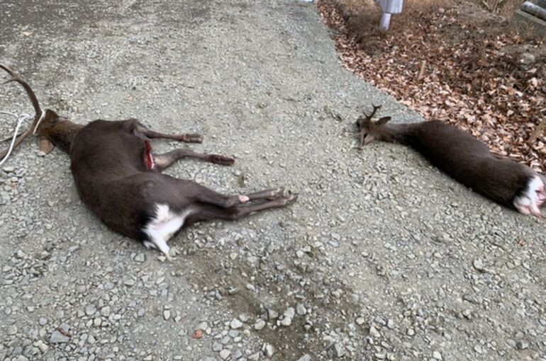 9DD7D6DC-B962-43C8-A440-D6066D9E156E