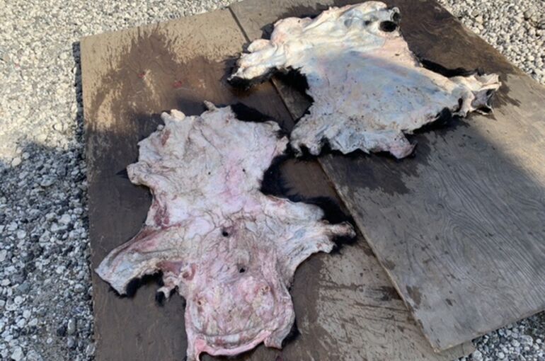 8E3348EB-034E-4F96-A73E-C940B69B1CEC