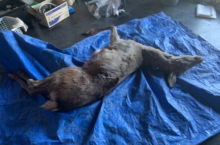 F5559ED4-B4E6-437B-BF24-A53A5B6E2140