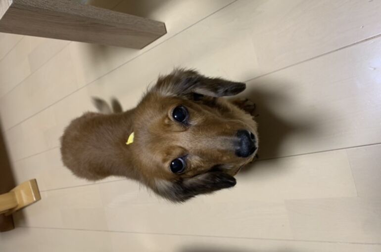 EBD8EF1B-35CF-4B29-999D-09B1F40FAC6E