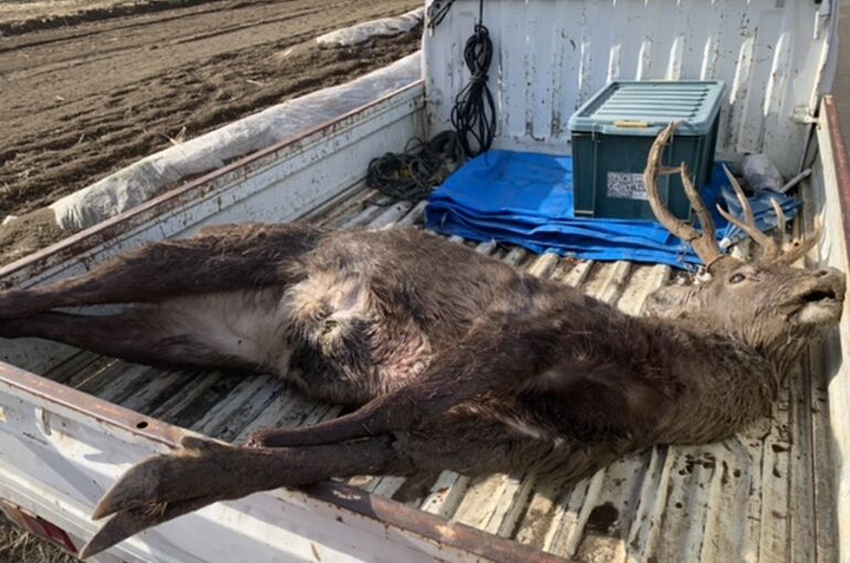 DEBDDC62-B6B5-42E0-B022-2426ABB228F7