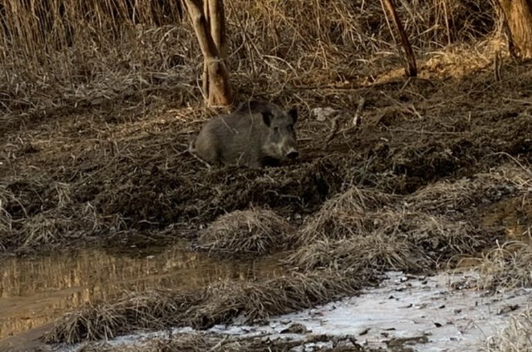 6093C348-4708-4E65-B2E8-56462C23EFFB