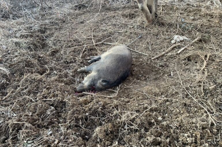 7871C78A-808D-4C8C-986F-739E3BCEEF17