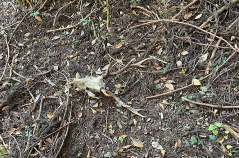 E367121A-A798-458F-AE63-85D81F6A9FD0