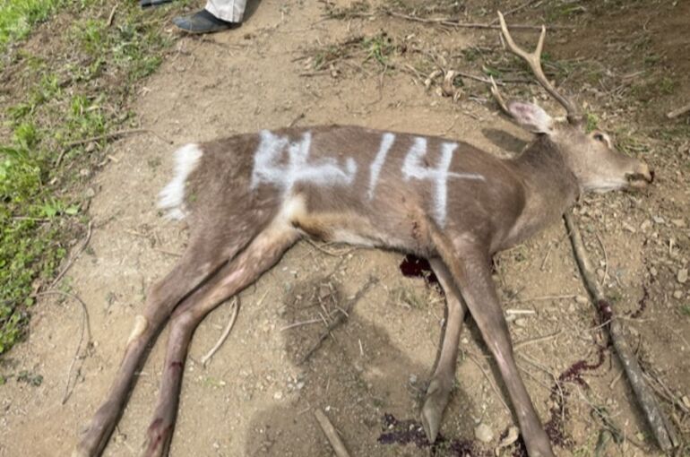 F30C8EF6-039A-423F-8CEC-BA3EEFD351B4