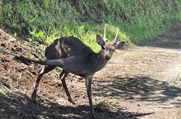 5E0342DF-E49E-400A-A273-62CCEE1D0F64