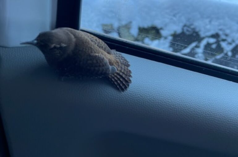 D5A5641A-62F8-4828-9021-1ACE1AA90A0A