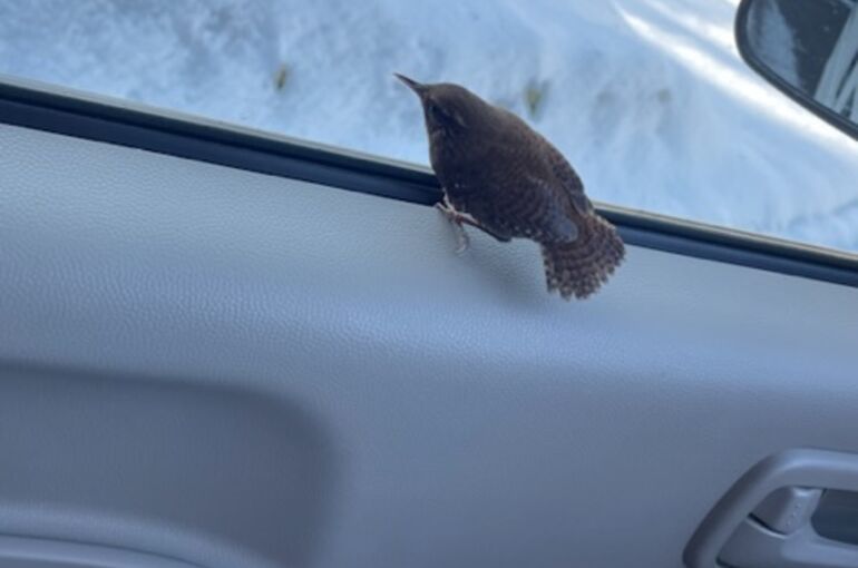 1BD97B20-5B85-4A01-8BAE-BDB314098B9D